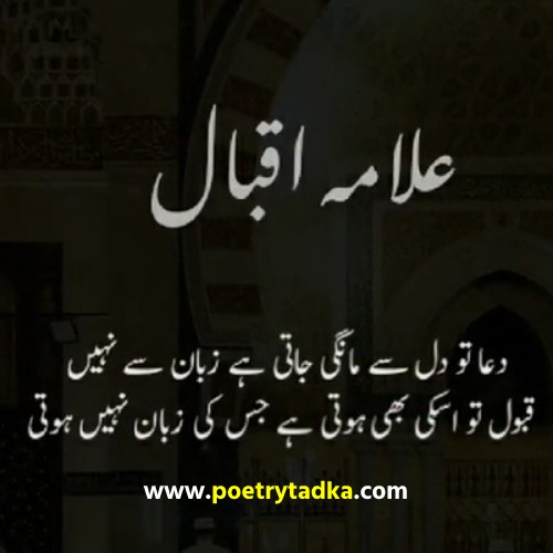 Allama Iqbal Quote in Urdu