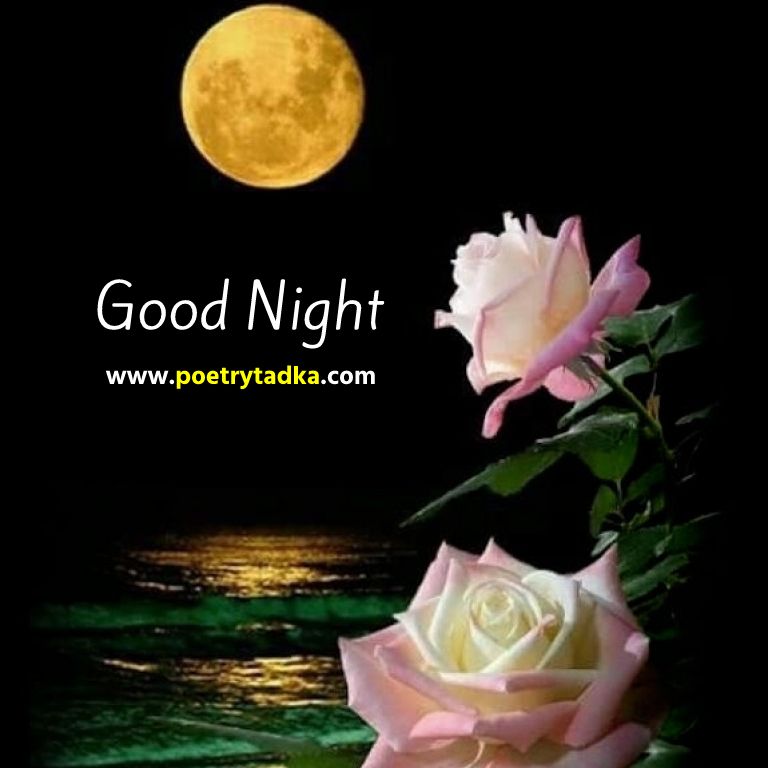 Romantic Good Night Photo Download